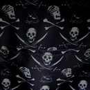 Disney Pirates of the Caribbean Jack Sparrow Loungefly Backpack