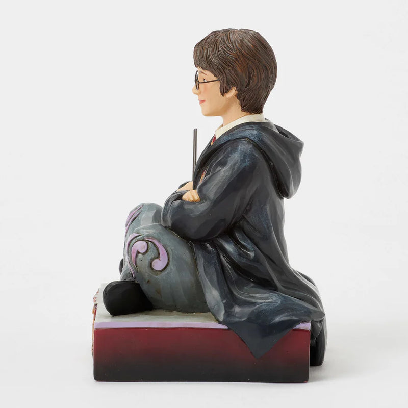 The Chosen One - Harry Potter Jim Shore Statue