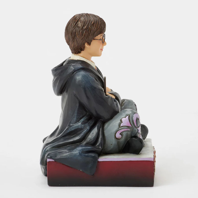 The Chosen One - Harry Potter Jim Shore Statue
