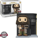 Hagrid Harry Potter Diagon Alley Funko POP