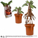 Harry-Potter-mandrake-replica